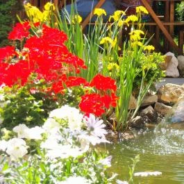 Fodor Hotel Gyula - Medence/kert