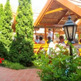 Fodor Hotel Gyula - Medence/kert