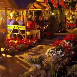 Fodor Hotel Gyula - Medence/kert