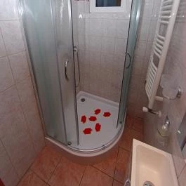 Fortuna Apartman Gyula - Fürdőszoba