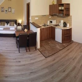 Gellény Lux Apartman Gyula - Szobák