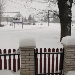 Háromtölgy Apartman Gyula - Környék