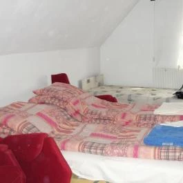 Háromtölgy Apartman Gyula - Szobák