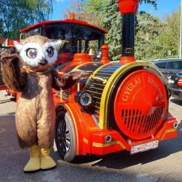 Hunguest Hotel Gyula Gyula - Egyéb