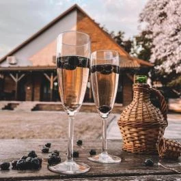 Liget Apartman Gyula - Egyéb