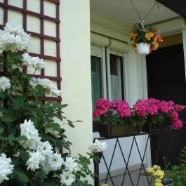 Liza Apartman Gyula - Egyéb