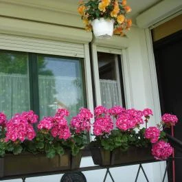 Liza Apartman Gyula - Külső kép