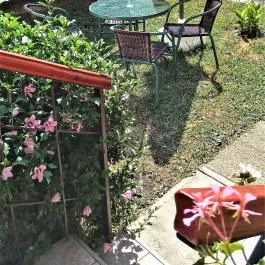 Liza Apartman Gyula - Egyéb