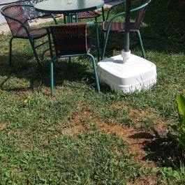 Liza Apartman Gyula - Medence/kert