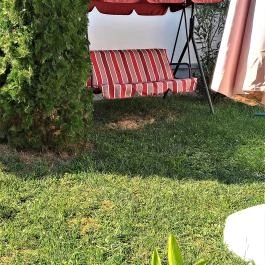 Liza Apartman Gyula - Egyéb