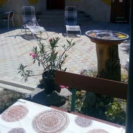 Margaréta Apartman Gyula - Medence/kert