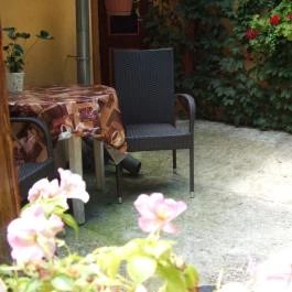 Mediterrán Apartman Gyula - Medence/kert