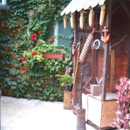 Mediterrán Apartman Gyula - Medence/kert