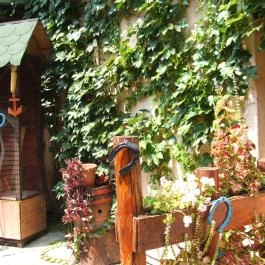 Mediterrán Apartman Gyula - Medence/kert