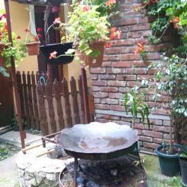 Mediterrán Apartman Gyula - Medence/kert