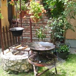 Mediterrán Apartman Gyula - Medence/kert