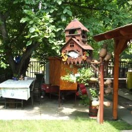 Mediterrán Apartman Gyula - Medence/kert