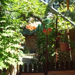 Mediterrán Apartman Gyula - Medence/kert