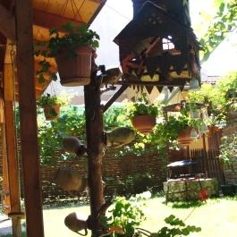 Mediterrán Apartman Gyula - Medence/kert