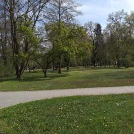 Mediterrán Szállás Gyula - Egyéb