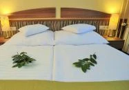 Park Hotel Gyula Gyula