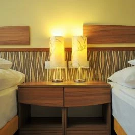 Park Hotel Gyula Gyula - Szobák