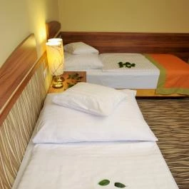 Park Hotel Gyula Gyula - Szobák