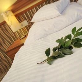 Park Hotel Gyula Gyula - Szobák