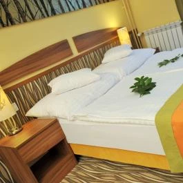 Park Hotel Gyula Gyula - Szobák