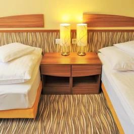 Park Hotel Gyula Gyula - Szobák