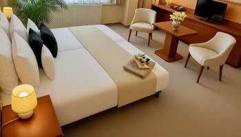 Pláza Hotel Gyula Gyula