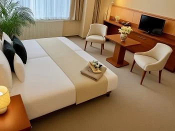 Pláza Hotel Gyula Gyula Pláza Hotel Gyula Gyula