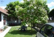 Rózsa Apartman Gyula