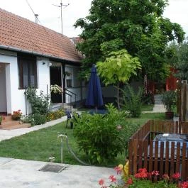 Rózsa Apartman Gyula - Egyéb