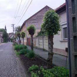 Szamócás Apartman Gyula - Külső kép