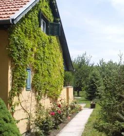 Szanazugi Oázis Vendégház