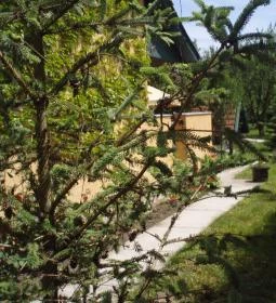 Szanazugi Oázis Vendégház