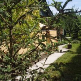 Szanazugi Oázis Vendégház Gyula - Medence/kert