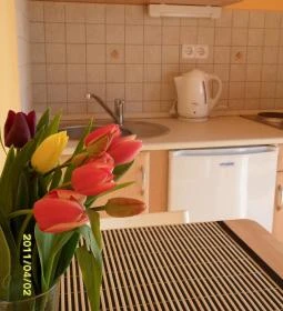 Villa Viola Apartmanház