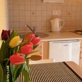 Villa Viola Apartmanház Gyula - Egyéb