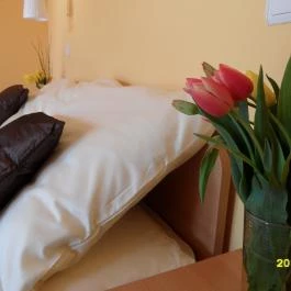 Villa Viola Apartmanház Gyula - Egyéb