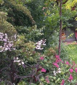 Villa Viola Apartmanház