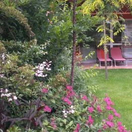 Villa Viola Apartmanház Gyula - Medence/kert