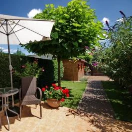 Villa Viola Apartmanház Gyula - Medence/kert