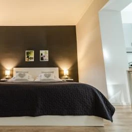 Villa Viola Gyula - Egyéb