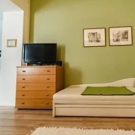 Villa Viola Gyula - Egyéb