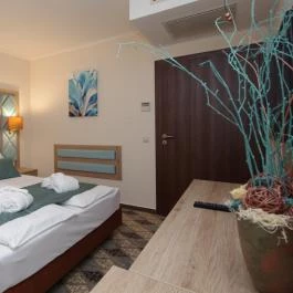 Wellness Hotel Gyula Gyula - Szobák