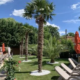 Wellness Hotel Gyula Gyula - Wellness