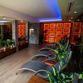Wellness Hotel Gyula Gyula - Belső