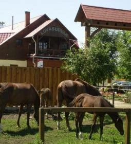 Martinek Lovasudvar Hajdúnánási Lovasközpont & Ifjúsági Szállás